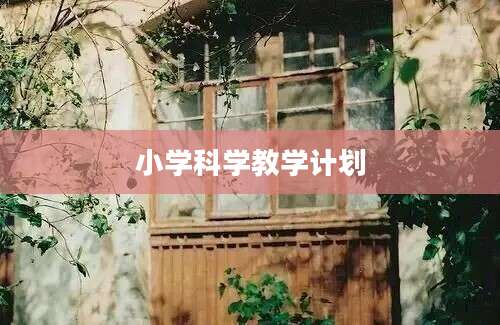 小学科学教学计划