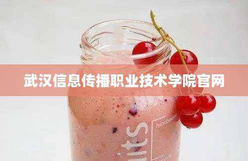 武汉信息传播职业技术学院官网