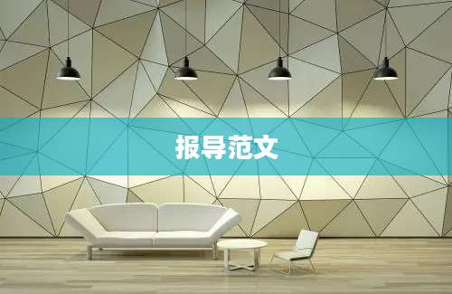 报导范文