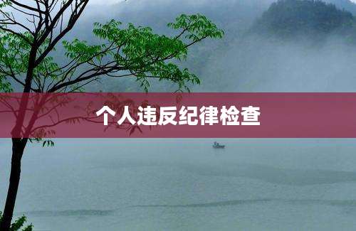 个人违反纪律检查