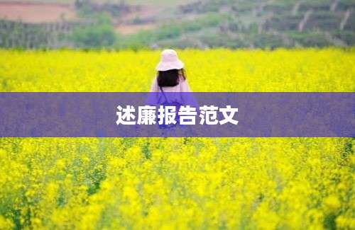 述廉报告范文