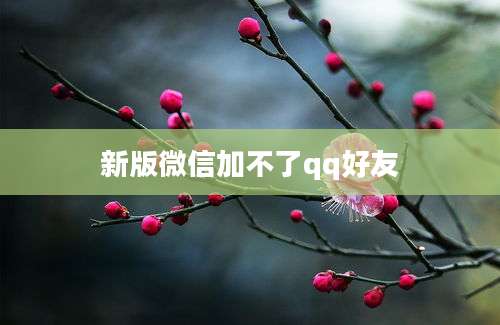 新版微信加不了qq好友