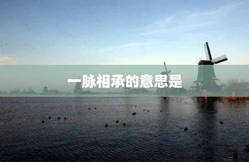 一脉相承的意思是