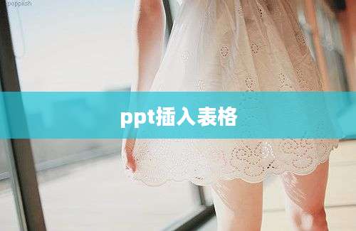ppt插入表格
