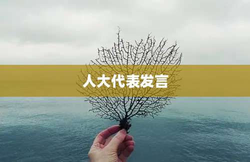 人大代表发言
