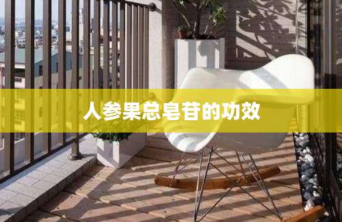 人参果总皂苷的功效