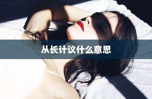从长计议什么意思