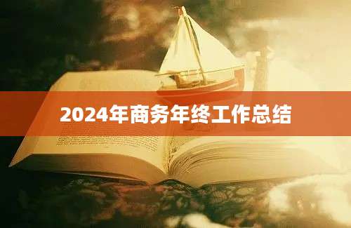 2024年商务年终工作总结