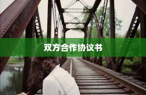 双方合作协议书