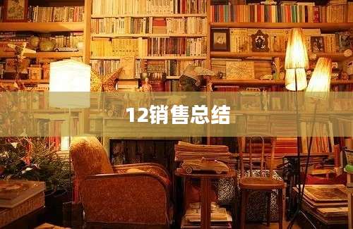 12销售总结