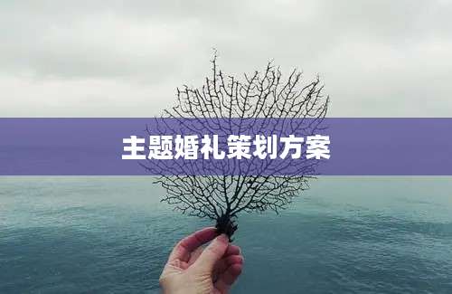 主题婚礼策划方案