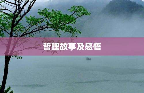 哲理故事及感悟