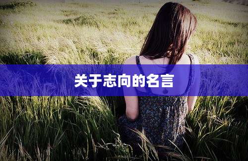 关于志向的名言