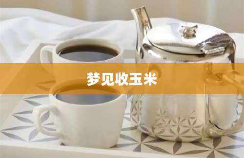 梦见收玉米