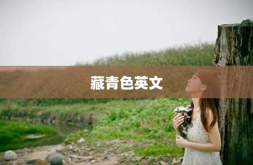 藏青色英文