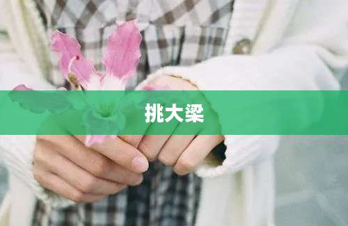 挑大梁
