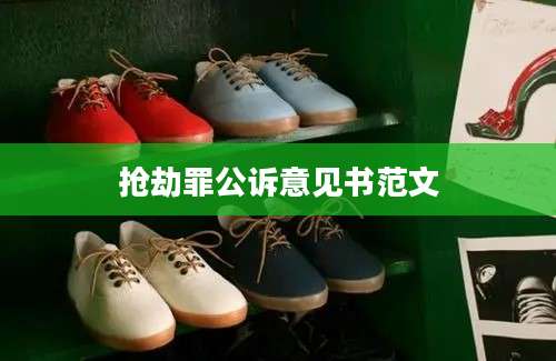 抢劫罪公诉意见书范文
