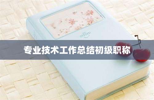 专业技术工作总结初级职称