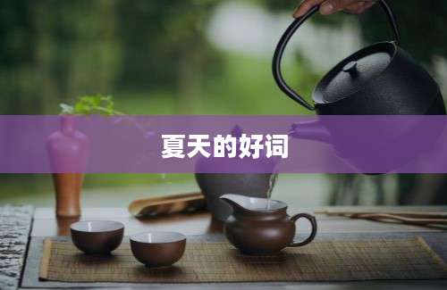 夏天的好词