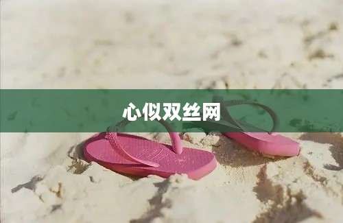 心似双丝网