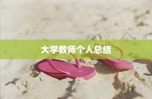 大学教师个人总结