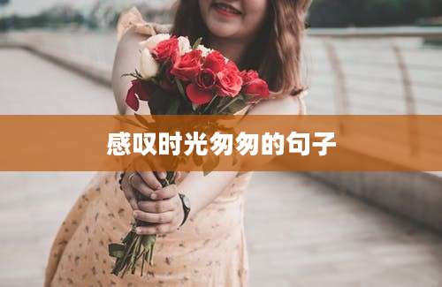 感叹时光匆匆的句子