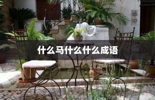 什么马什么什么成语