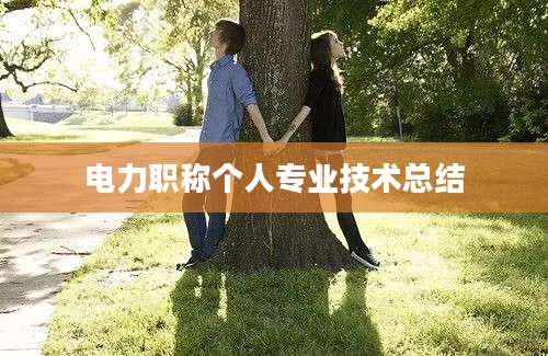 电力职称个人专业技术总结