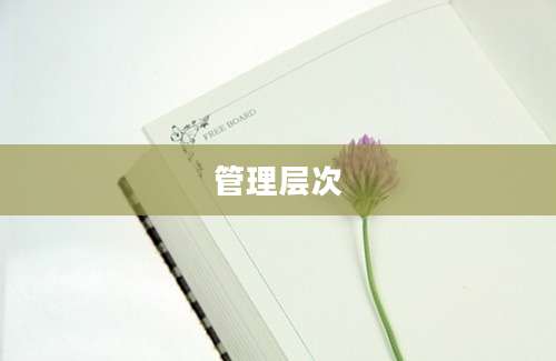 管理层次