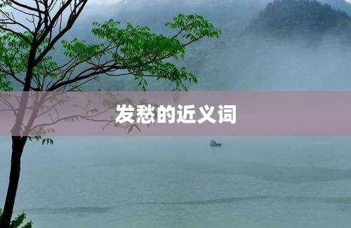 发愁的近义词