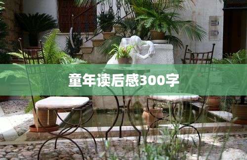 童年读后感300字