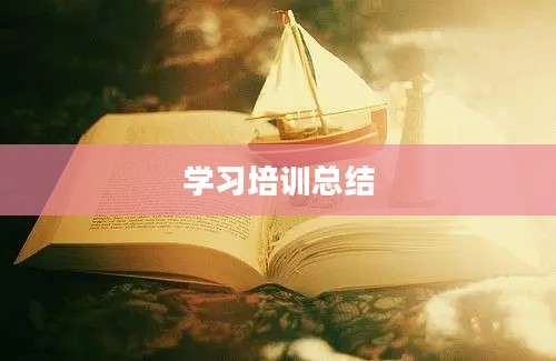 学习培训总结