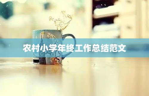 农村小学年终工作总结范文