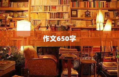 作文650字
