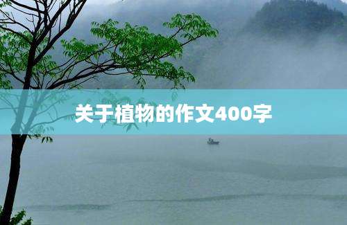 关于植物的作文400字