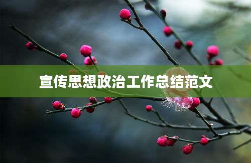 宣传思想政治工作总结范文