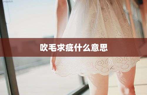 吹毛求疵什么意思