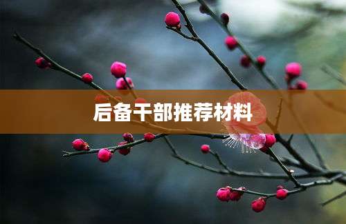 后备干部推荐材料