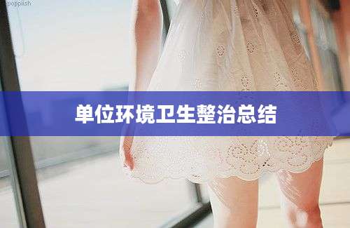 单位环境卫生整治总结