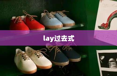 lay过去式
