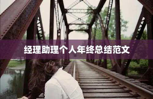 经理助理个人年终总结范文