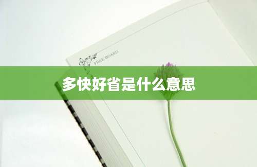 多快好省是什么意思