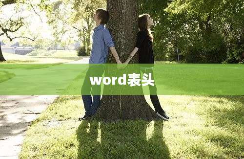 word表头