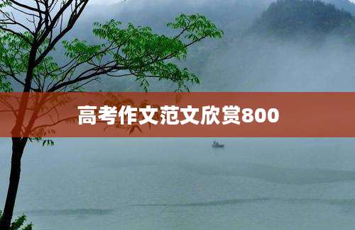 高考作文范文欣赏800