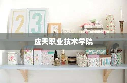 应天职业技术学院