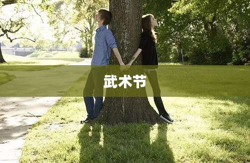 武术节