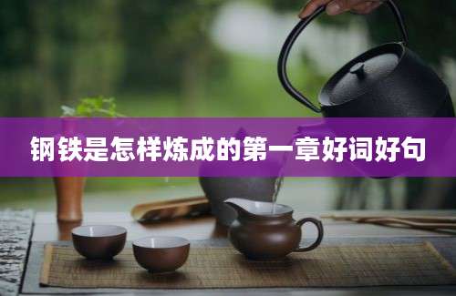 钢铁是怎样炼成的第一章好词好句