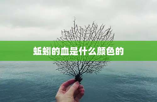 蚯蚓的血是什么颜色的