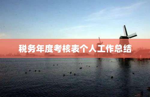 税务年度考核表个人工作总结