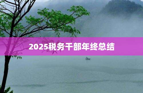 2025税务干部年终总结